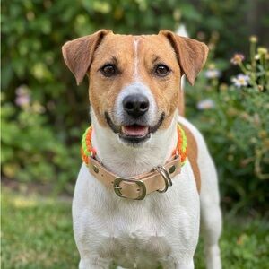 Handmade Neon Green and Reflective Neon Orange Dog Collar